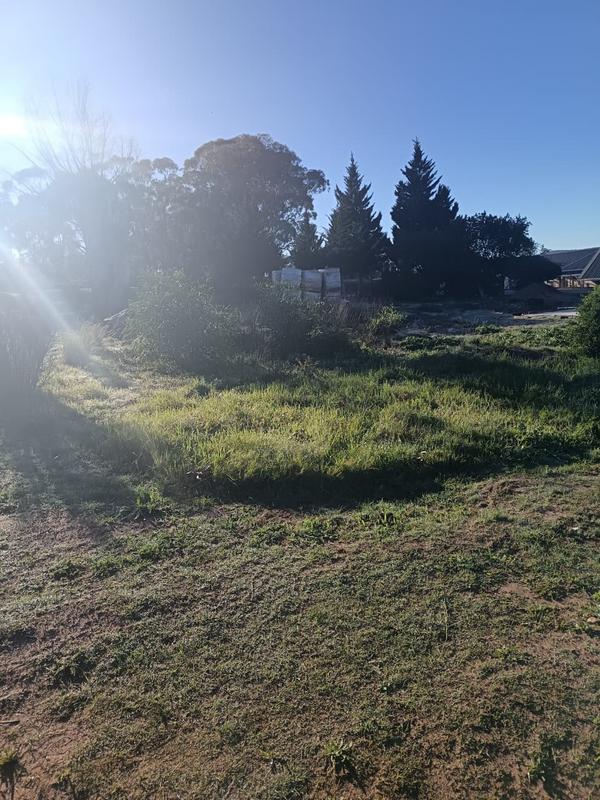 0 Bedroom Property for Sale in Albertinia Western Cape